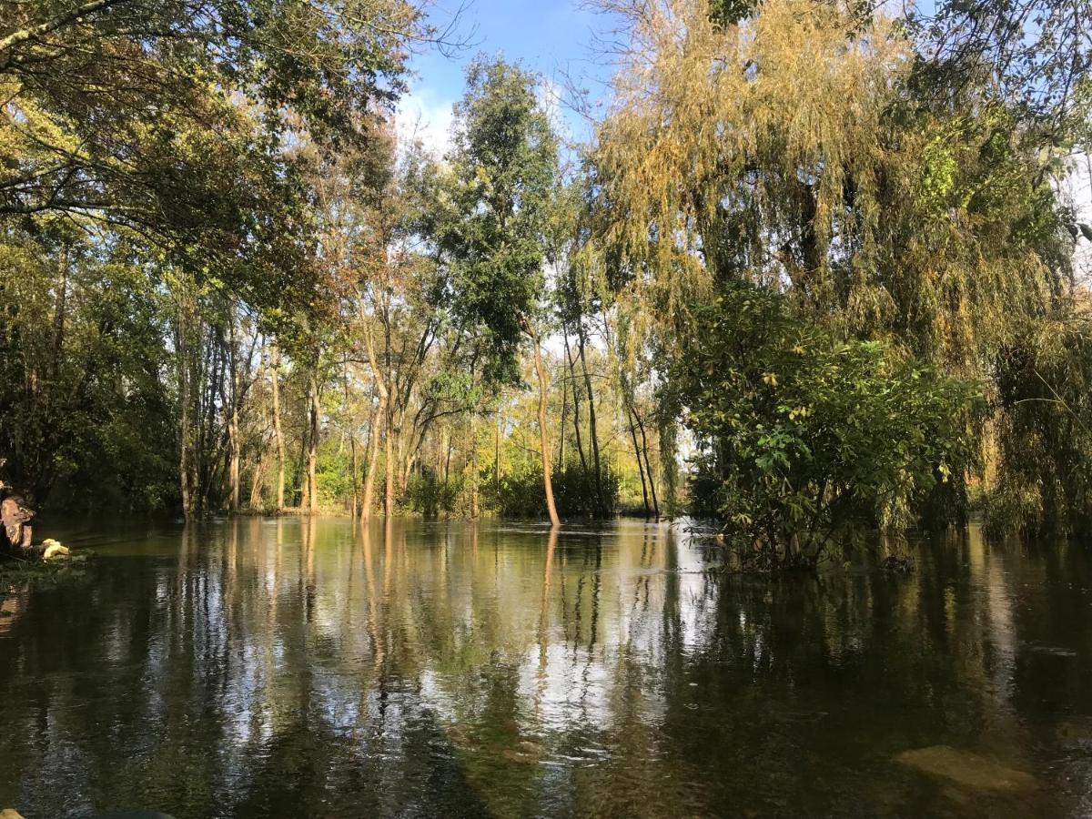 Ancien Moulin A Eau Sur La Seugne Daire Mosnac  Dış mekan fotoğraf